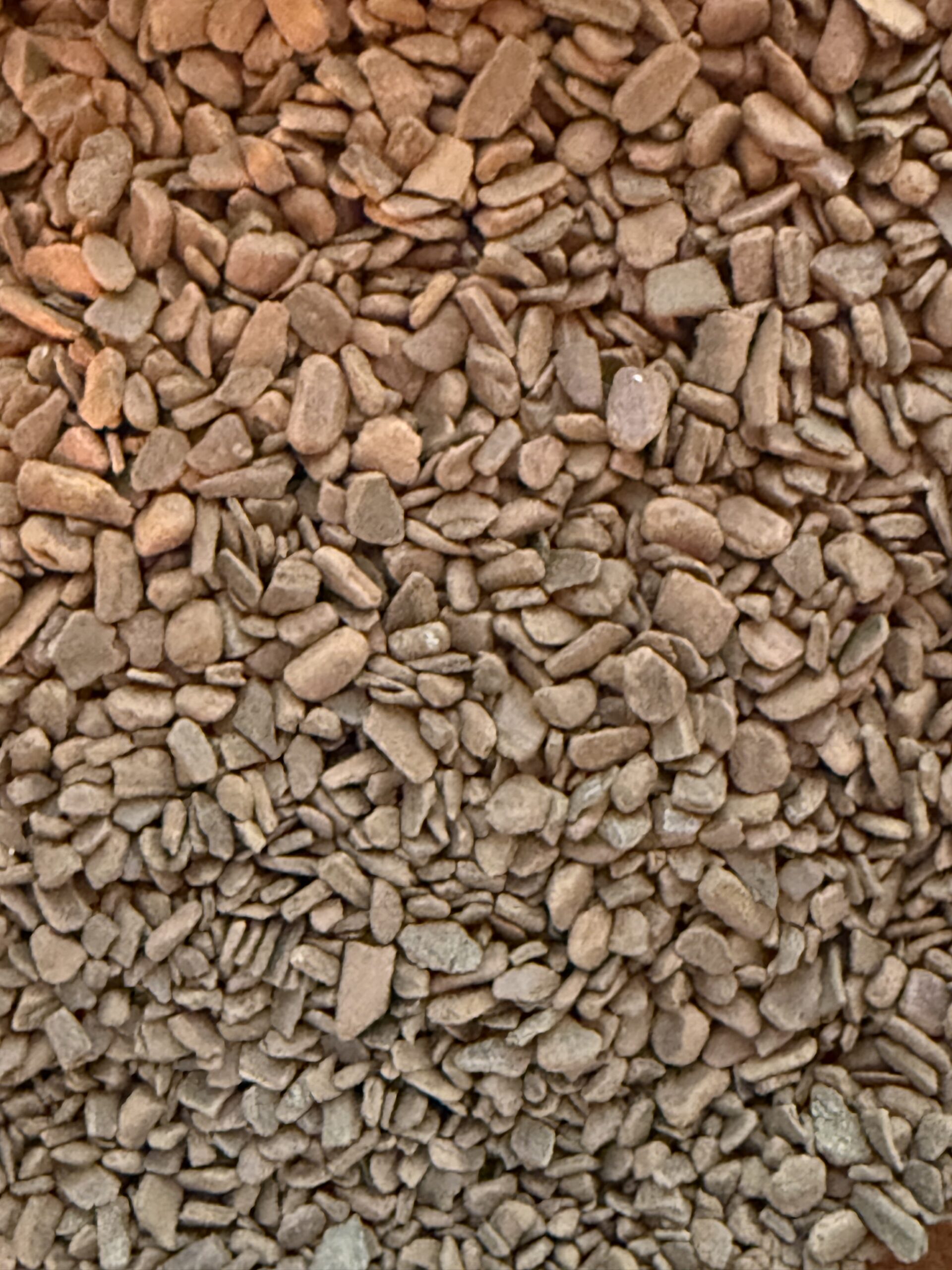 Cinnamomum burmannii    CINNAMON CHIPS  organic