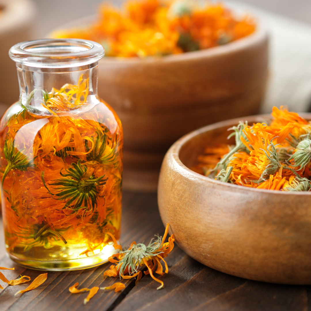 calendula infused oil